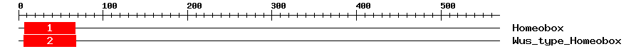 Signature Domain