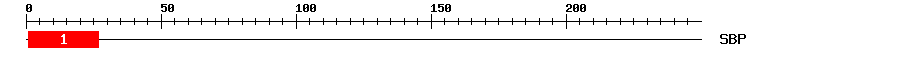 Signature Domain