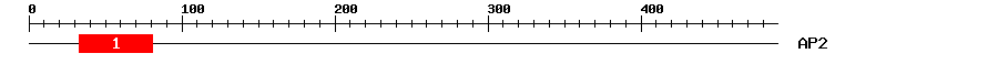 Signature Domain