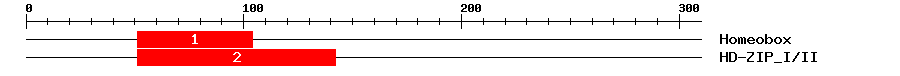 Signature Domain