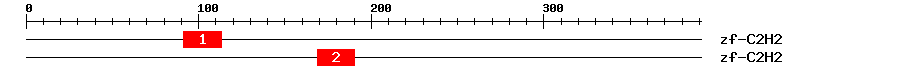 Signature Domain