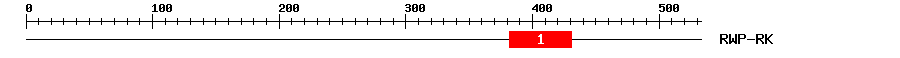 Signature Domain