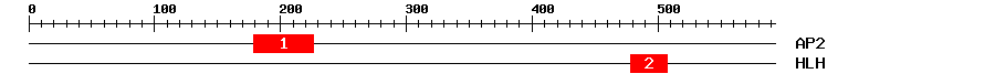 Signature Domain