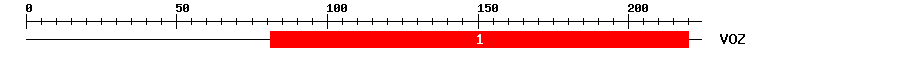 Signature Domain