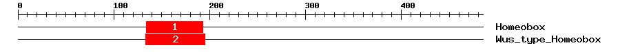 Signature Domain