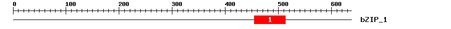 Signature Domain