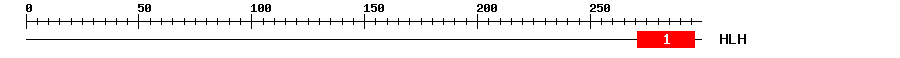 Signature Domain