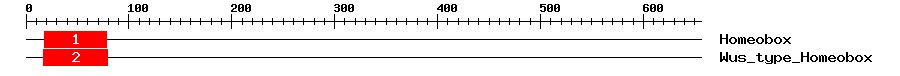 Signature Domain