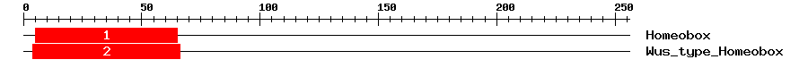Signature Domain