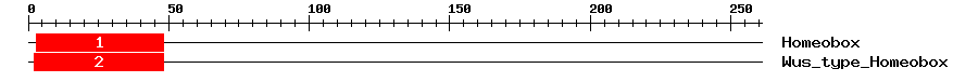 Signature Domain
