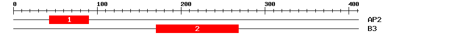 Signature Domain