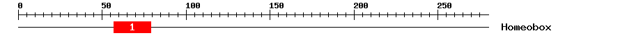 Signature Domain