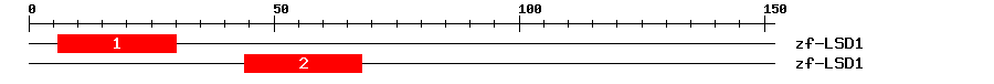 Signature Domain