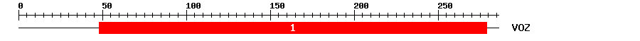 Signature Domain