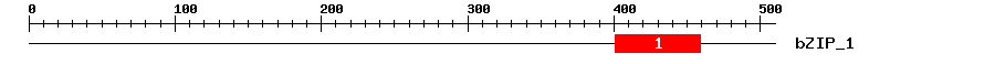 Signature Domain