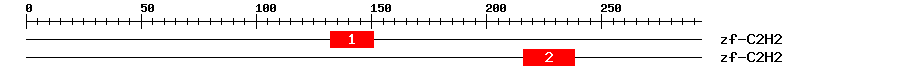Signature Domain