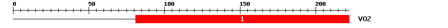 Signature Domain