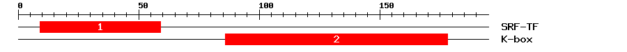Signature Domain