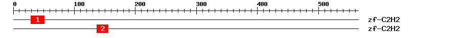 Signature Domain
