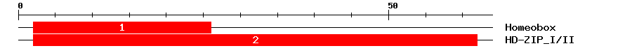 Signature Domain