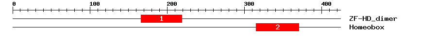 Signature Domain