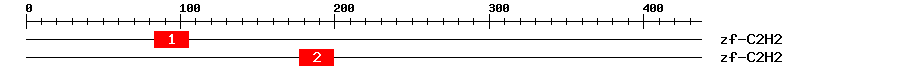 Signature Domain