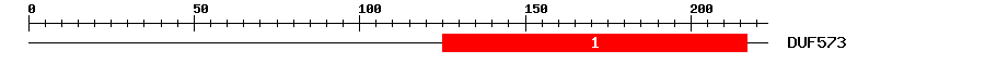 Signature Domain
