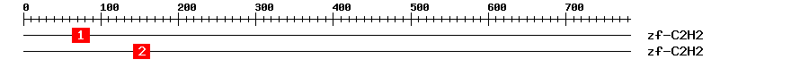 Signature Domain