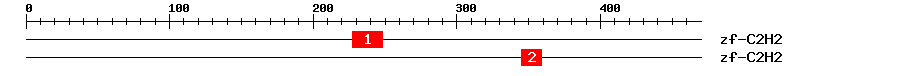 Signature Domain