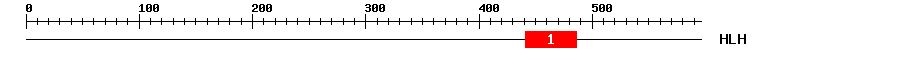 Signature Domain