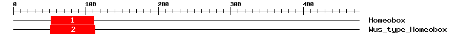 Signature Domain