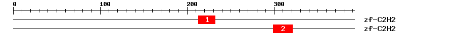 Signature Domain