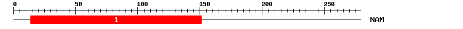 Signature Domain