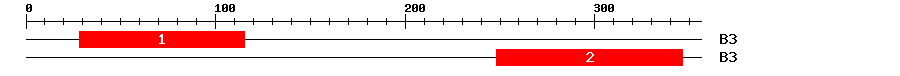 Signature Domain