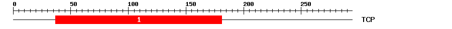 Signature Domain