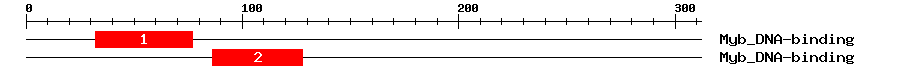 Signature Domain