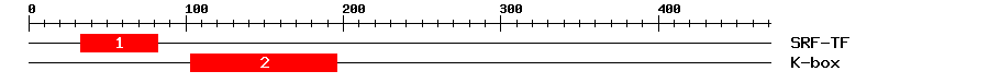 Signature Domain