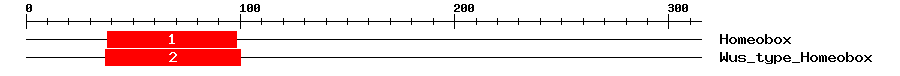Signature Domain