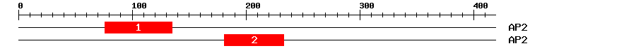 Signature Domain