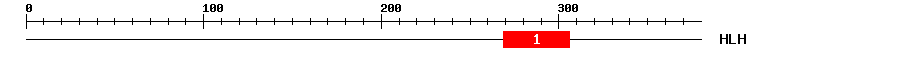 Signature Domain