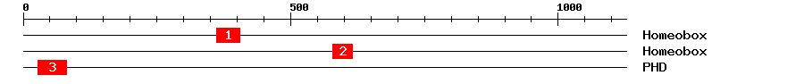Signature Domain