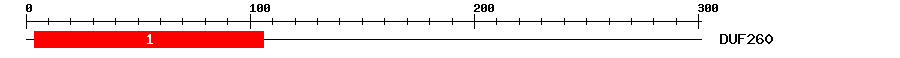 Signature Domain