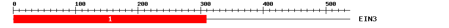 Signature Domain