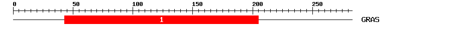 Signature Domain