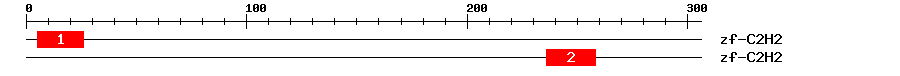 Signature Domain
