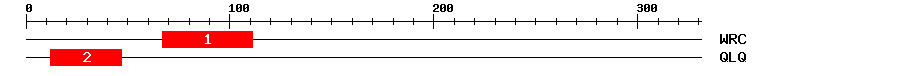 Signature Domain