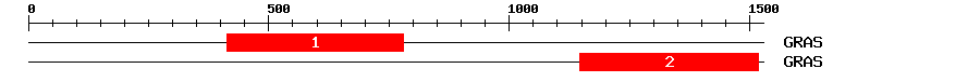 Signature Domain