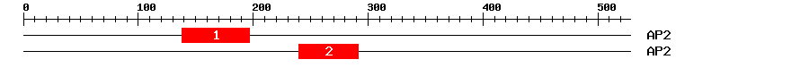 Signature Domain