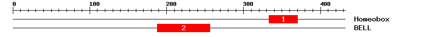 Signature Domain