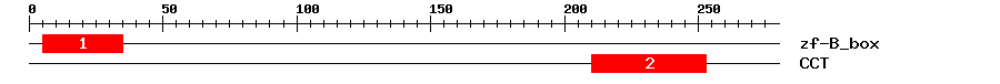 Signature Domain